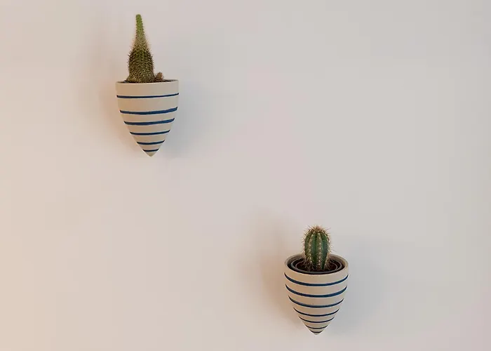 Διαμέρισμα Moderno Y Lujoso En El Historico Casco Viejo