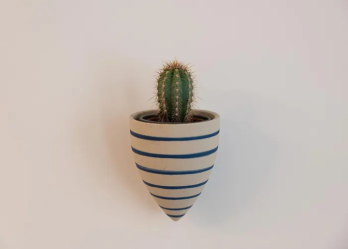 Διαμέρισμα Moderno Y Lujoso En El Historico Casco Viejo